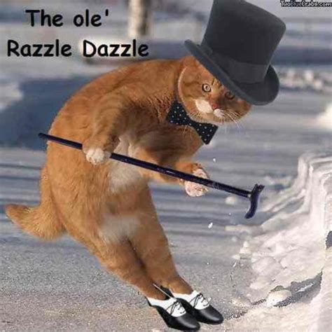 The Ol' <b>Razzle</b> <b>Dazzle</b> - World's largest collection of cat <b>memes</b> and other animals. . Razzle dazzle meme